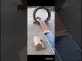 DIY Cardboard House & Road | Mini Track Making 😍 #shorts