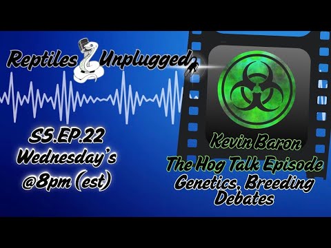 The Hognose Episode | Kevin Baron | Reptiles Unplugged