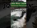 Squatchin' in Litter River Canyon in Alabama #squatchin #bigfoot