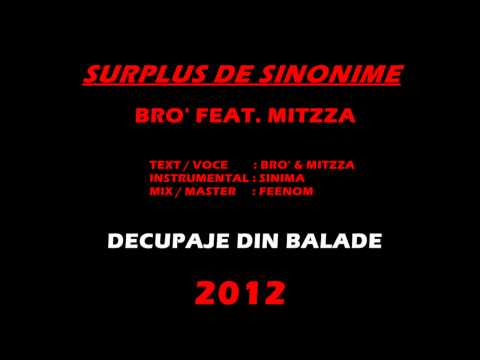 Bro' - Surplus de sinonime feat. Mitzza