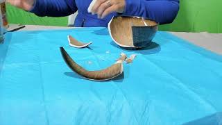 Kintsugi Workshop