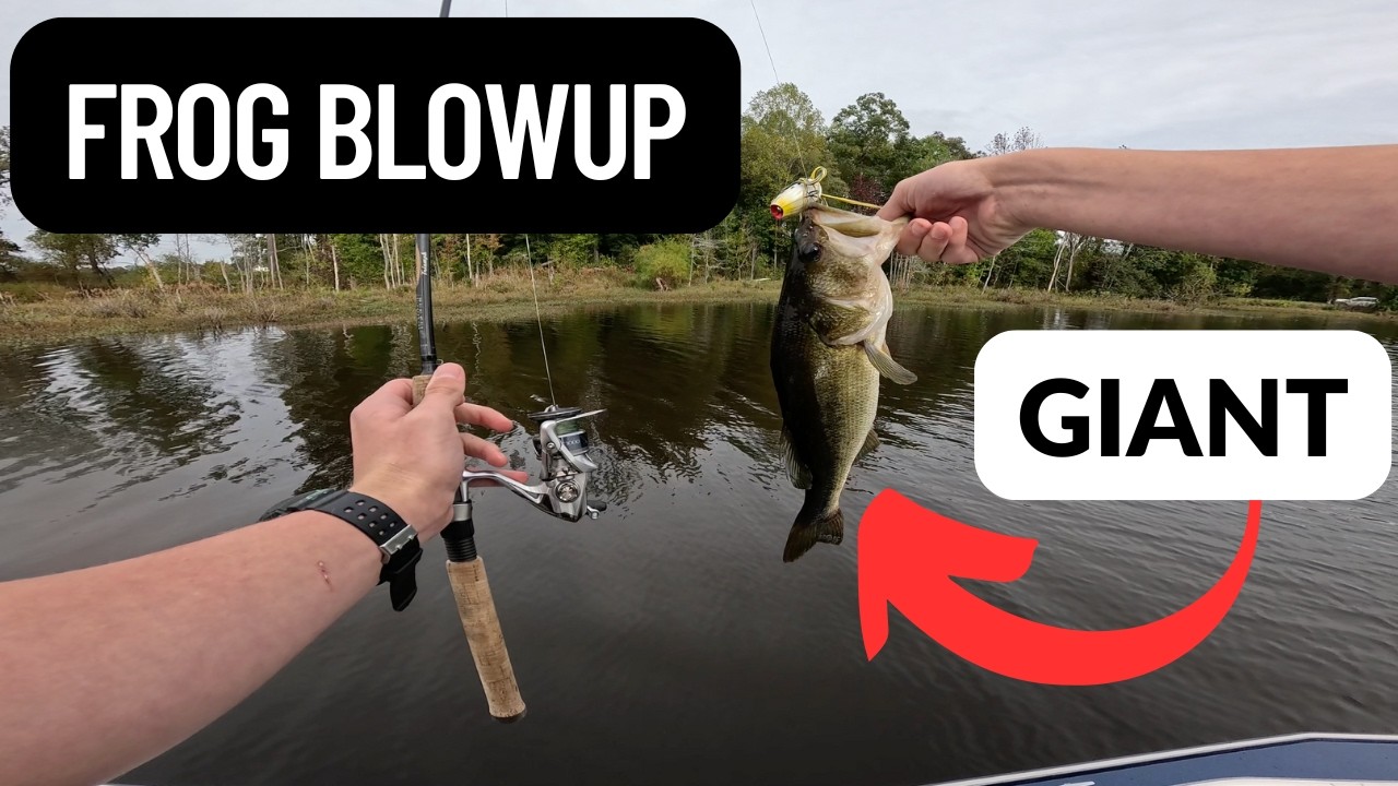 INSANE Frog Blowups!! 💥 GIANT Bass Fishing at the Pond 🐸🎣