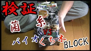 検証!!菌糸瓶VSバイオくち木ブロック