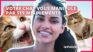 VOTRE CHAT VOUS MANIPULE PAR SES MIAULEMENTS. JE VOUS EXPLIQUE