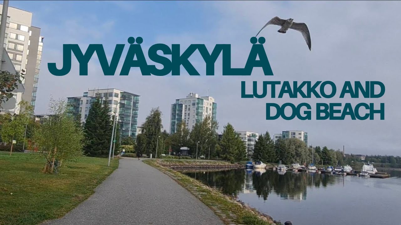 Jyväskylä [Lutakko and Dog Beach] Walking by Jyväsjärvi Lake in AUTUMN