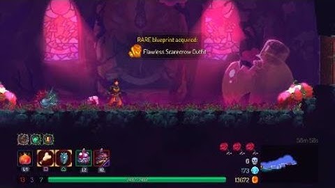 Dead Cells flawless Scarecrow, once a botanist now a pot of dust. Parry parry everywhere, i have a m