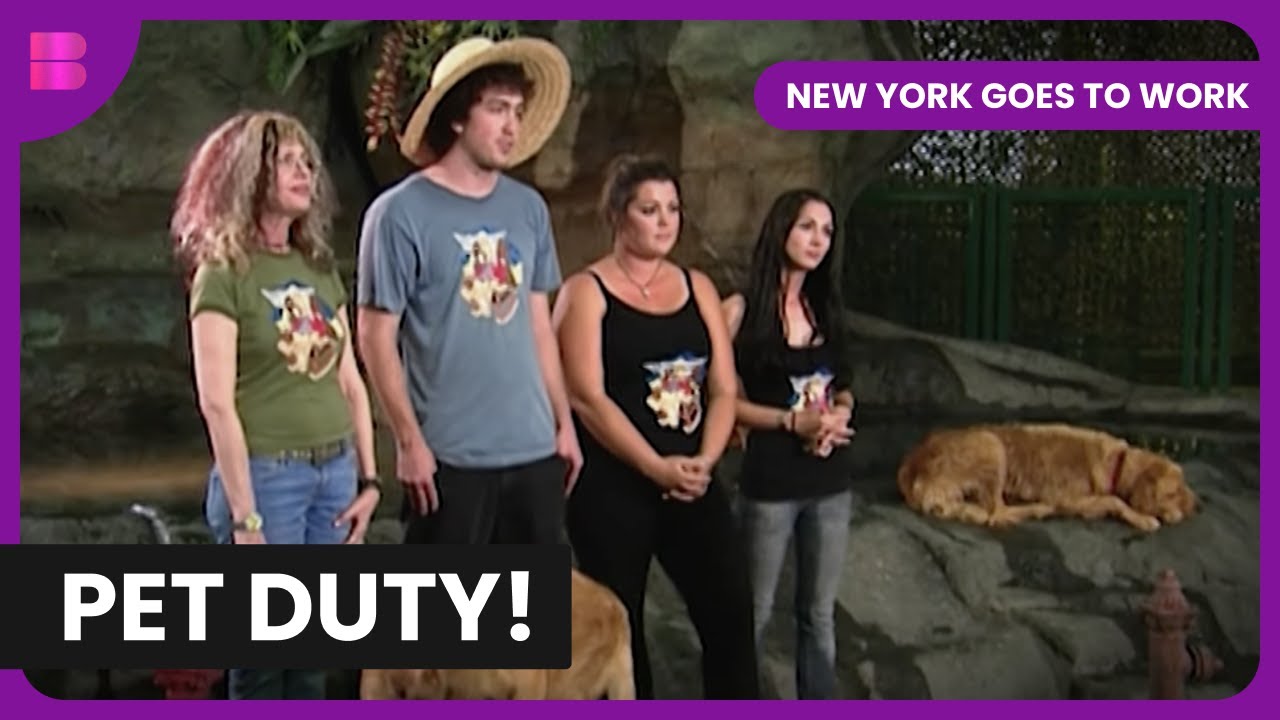 New York's Pet Duty - Reality TV