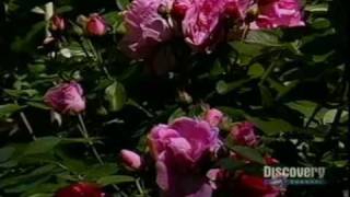 4 - Neutralization & Buffers.avi