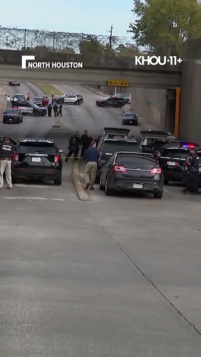 HPD: Theft suspect dead by self-inflicted gunshot wound