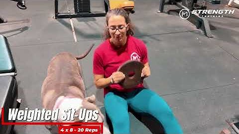 TFM Strength Training — DAY 4  — Biceps & Core