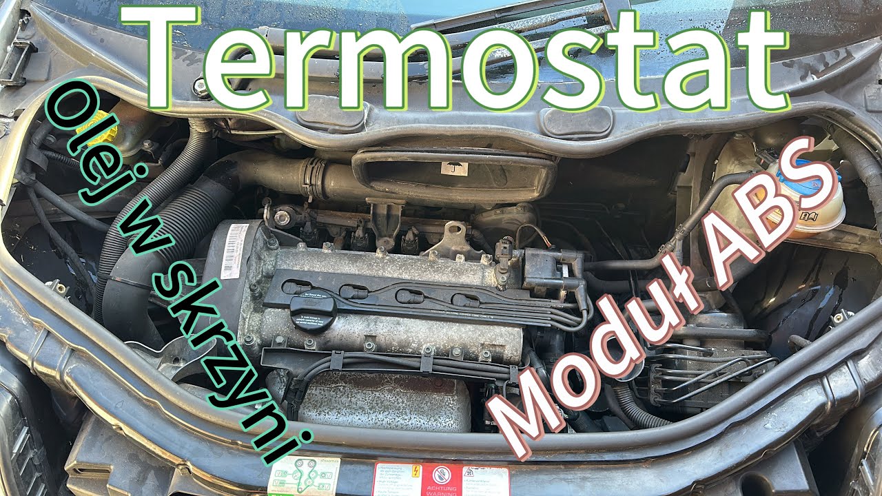 Audi A2 1.4 MPI wymiana oleju skrzyni biegów, termostatu, modułu abs i filtrów. Jan V8