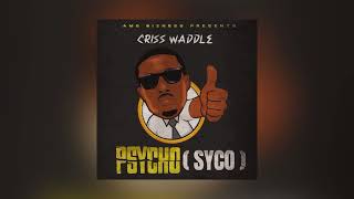 Criss Waddle - Psycho (Syco) [ Audio Slide ]