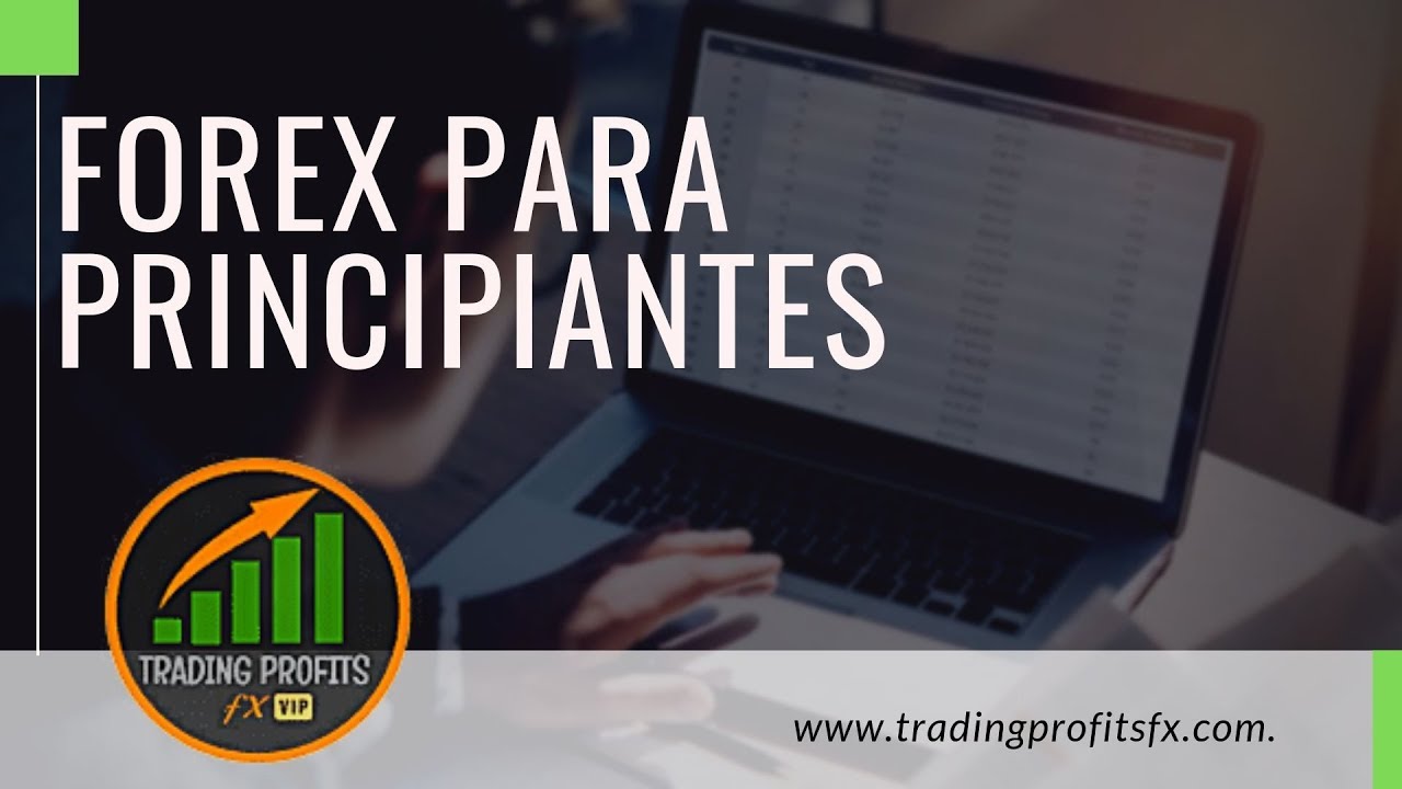 Como configurar la plataforma metatrader 4 & 5 - plantillas - FOREX ...