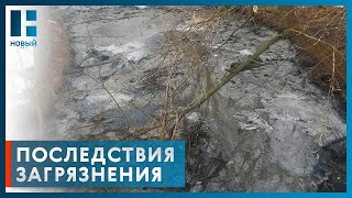 Прокуратура проводит проверку по факту сбросов сточных вод в реку Савала Тамбовской области