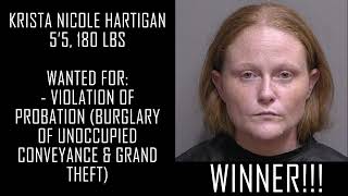 Fugitive Friday Bingo - September 9, 2022
