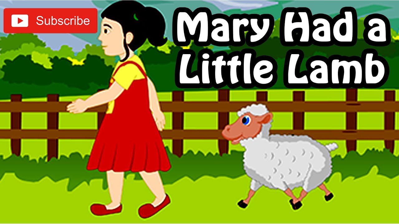 Amys Little Lamb Summer Camp Adventure