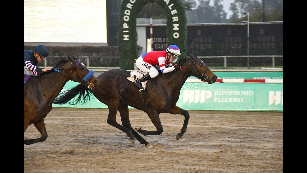 Handicap Jorge H. Iglesias 2026 - Sir Brave (Sir Lencelot)