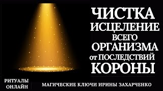 Чистим, Лечим Всё Тело, Органы И Системы, Сосуды От Болезни И Последствий 👑Вируса.