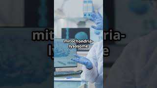 Tangeretin  A Shield for Brain Cells! #sciencefather #researcher #professor
