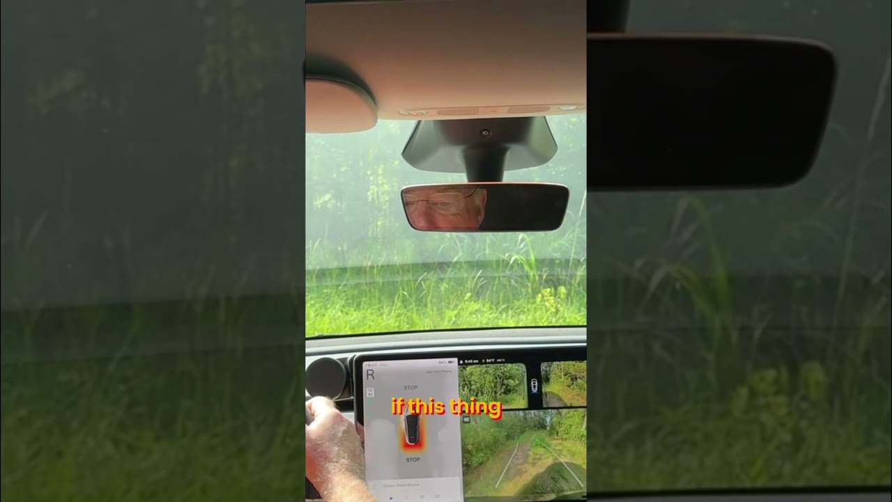 Tesla Driver Bravely Enters Swamp, Immediately Regrets It!#teslamodely #fullselfdriving