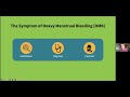 Period Posse Presents: Heavy Menstrual Bleeding 101: Causes, Context, and Clinical Guidelines