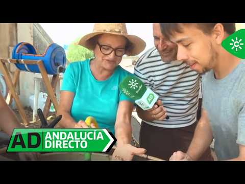 Andalucía Directo | Retirees become archaeologists to uncover secrets of the Phoenicians