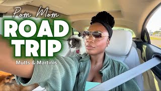 Dog-Friendly Things to Do in Tampa Bay 🐾 | Mutts & Martinis Vlog