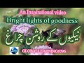 BRIGHT LIGHTS OF GOODNESS न क न क र शन चर च र थ MOTIVATIONAL INSPIRATIONAL INFORMATIVE 