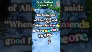 Sahih Bukhari Hadees,3116Hadees Urdu english translation with Islamic story #short #authentichadees