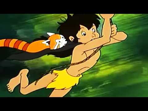 كتاب الأدغال | 24 قسم | Jungle Book