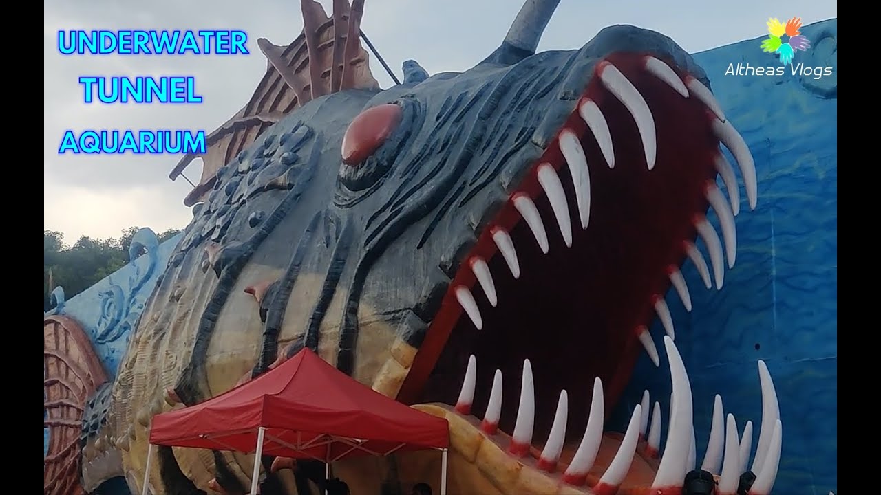 Day 2 Mysore's First Underwater Tunnel Aquarium Largest Underwater