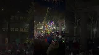 Hilarious Christmas Tree Lighting Countdown Fail 😂