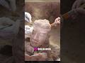 EL INCREÍBLE EJERCITO DE TERRACOTA #historia #curiosidadeshistoricas #history