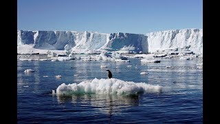 Sea Levels Could Rise Three Feet By 2100, Study Projects