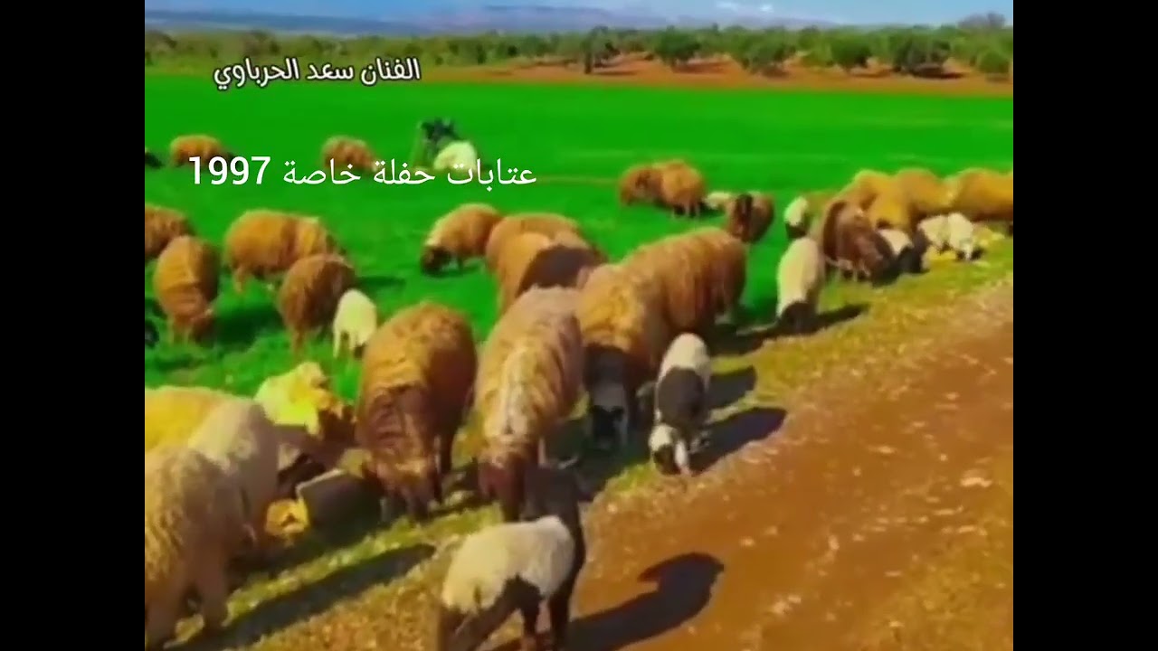 سعد الحرباوي عتابات 1997 حفلة خاصة 