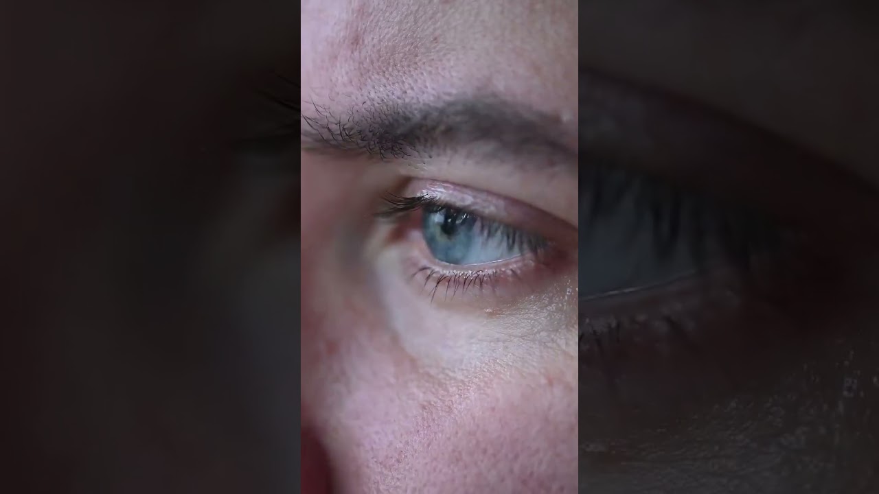 most popular punch by animals🙂😃😯