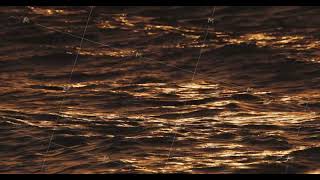 Calm Waves, Sun Reflection and Ripples on the Sea Water Surface at Sunset close up view