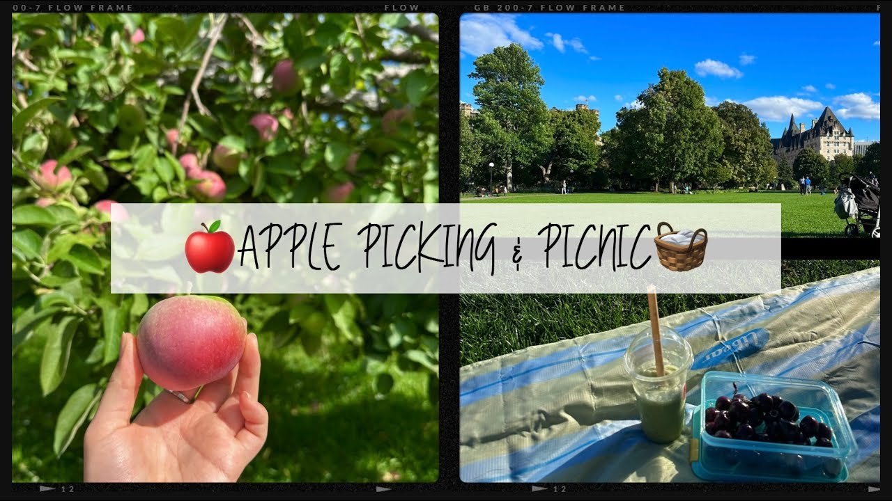 [Vlog]🇨🇦 🍎| 오타와 브이로그/Ottawa Vlog/Apple Picking/Picnic at the Park