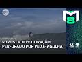 Quase morreu: surfista sobrevive ao ter coração perfurado por peixe-agulha | Camisa 8 na TV