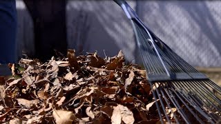 Spring Yard Waste - Report to Calgarians