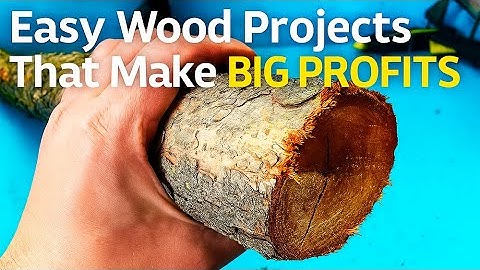 $100 a Day From Wood! Easy Projects Anyone Can Make and Sell