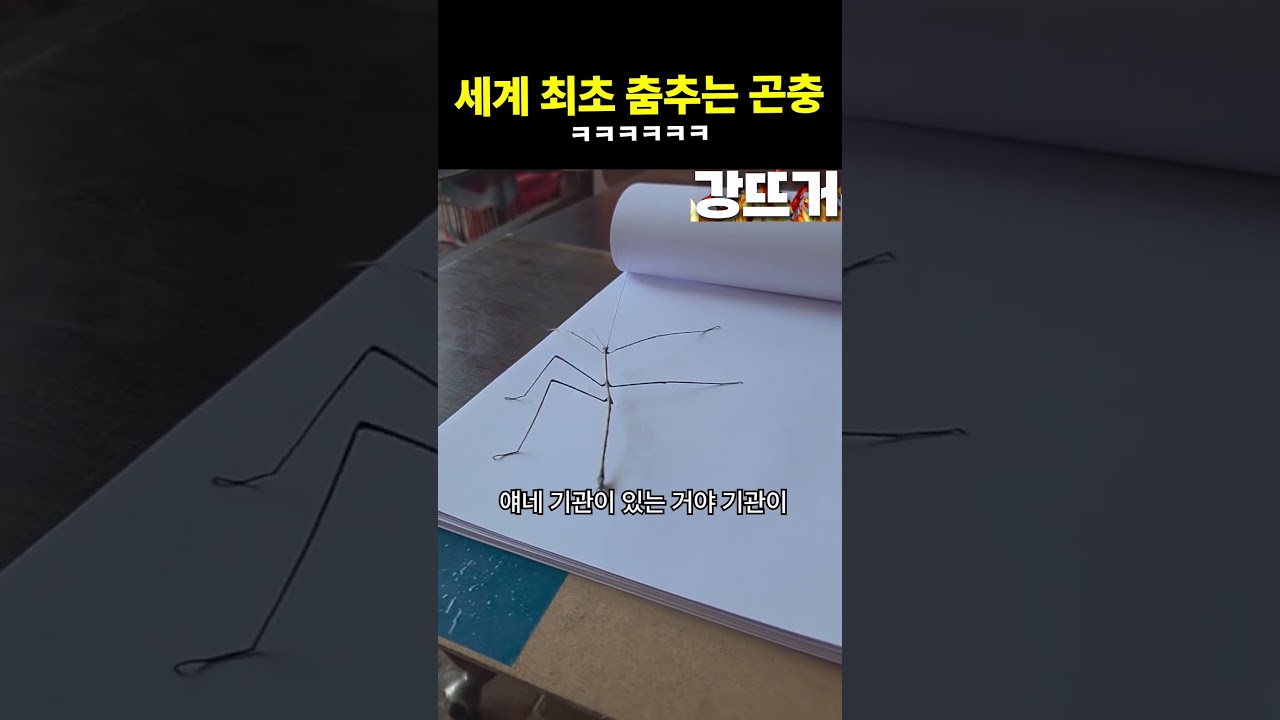 박자 잘 맞긴 해 지금 이대로만 가
