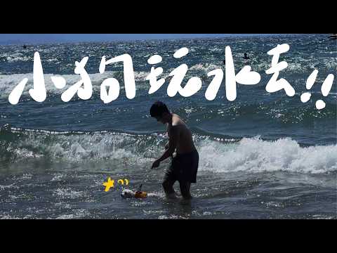 矽谷小狗出遊去 EP9 帶小狗去太浩湖玩水!原來小狗天生就會游泳!