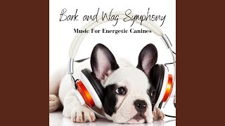 Festive Melodies of Barks