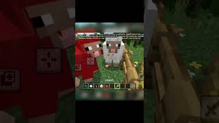 Minecraft rarest mob baby pink Sheep #minecraft #gamming