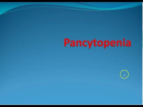 Video: Canelita Myelodysplasia