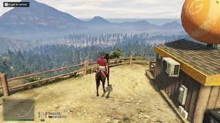 Horse   spawn menu