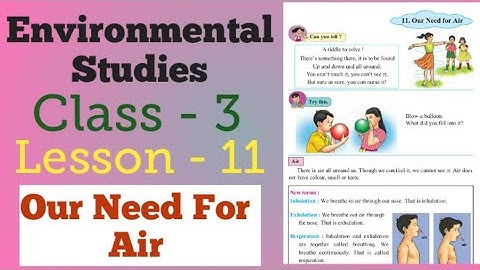 Class 3 | EVS | Lesson 11 | Our Need for Air | Maharashtra Board |  Explanation in Hindi.