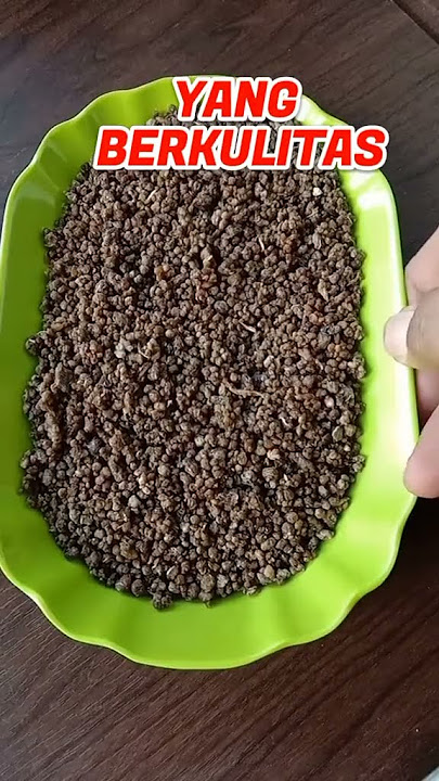 Tiwul Singkong Makanan Pengganti Nasi Berkhasiyat