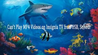 Can't Play MP4 Videos on Insignia TV from USB, Solved! screenshot 5